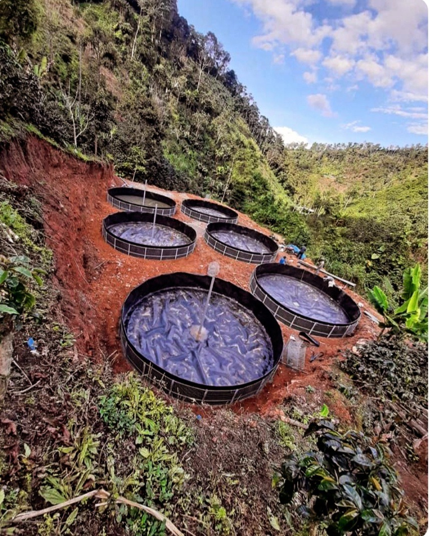 Implementación de Geotanques